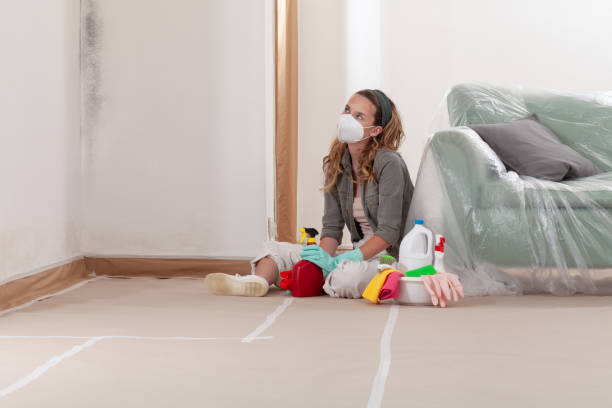 Reliable Mold Removal contractor in Forest Hill, TX by 24 Hour Mold Removal